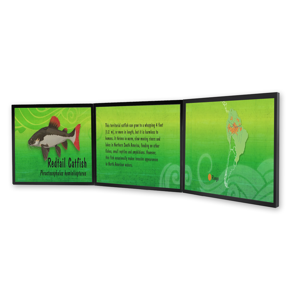 Exhibits Animal ID