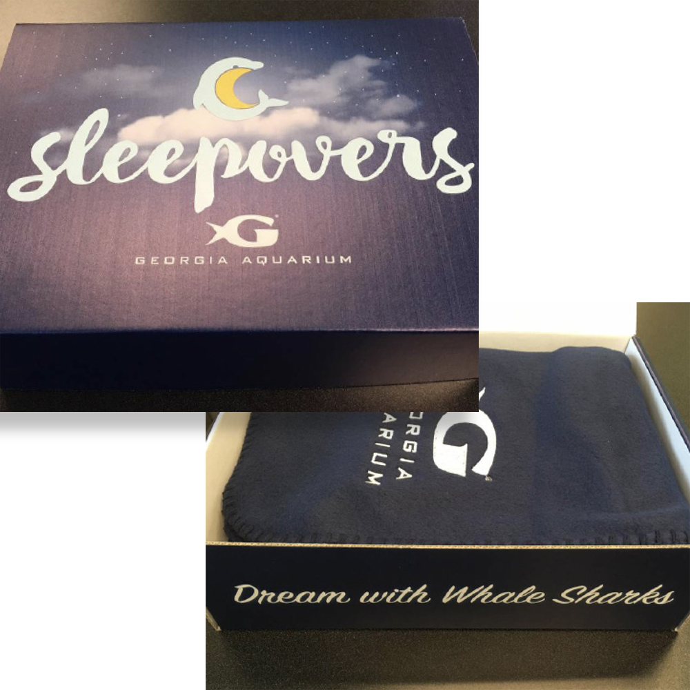 Sleepover